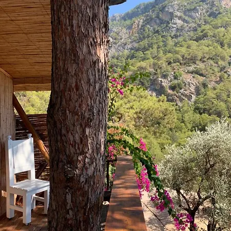 Large With Sea View In Kabak Bay, Oeluedeniz