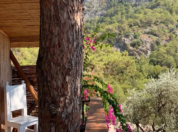 Large With Sea View In Kabak Bay, Oeluedeniz